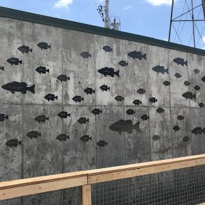 New River Otter Exhibit