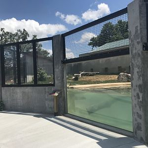 New River Otter Exhibit