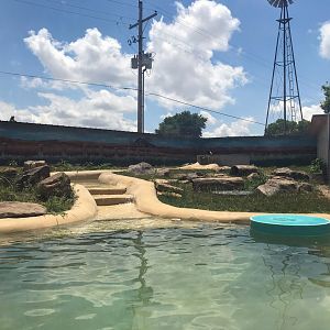 New River Otter Exhibit