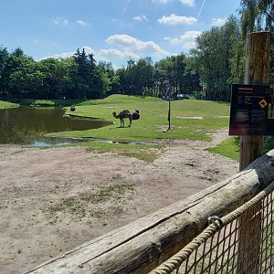 Dromedary-part ( not walk-through ) of the Outback