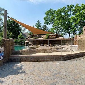 African Penguin Exhibit