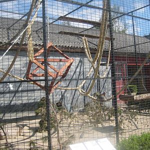 Munkholm Zoo - Ring-tailed lemur exhibit