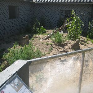 Munkholm Zoo - Meerkat exhibit