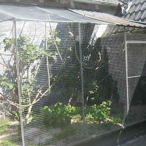 Munkholm Zoo - Tamarin exhibit