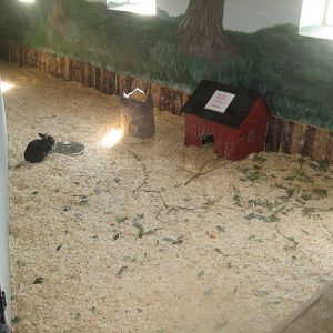 Munkholm Zoo - Stable building - Rabbit exhibit