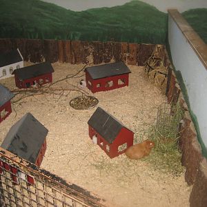 Munkholm Zoo - Stable building - Guinea pig exhibit