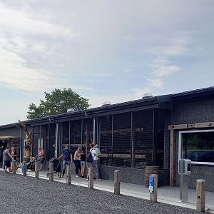 New entrance-building with Hornbill - Touraco aviary