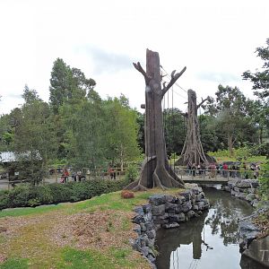 Orangutan and siamang exhibit [2016]