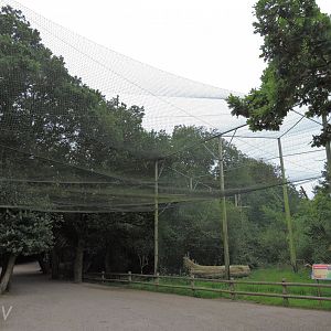 Eagle and seal aviary [2016]