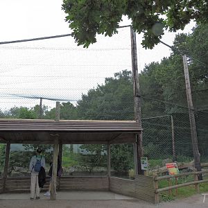 Eagle and seal aviary [2016]