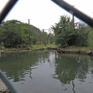 Eagle and seal aviary [2016]