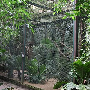 Aviary for Storm's Storks, August 2015