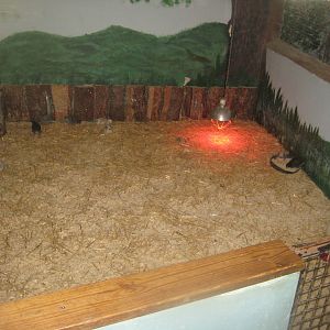 Munkholm Zoo - Stable building - Chicken exhibit