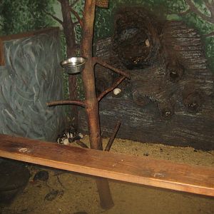 Munkholm Zoo - Stable building - Rat exhibit