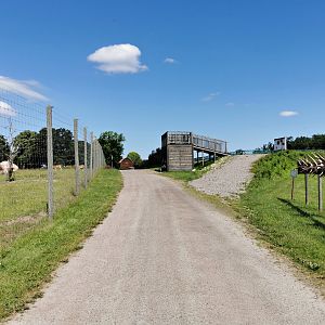 Moose enclosure to the right and mouflon/fallow deer enclosure to the left
