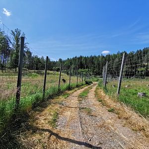 Moose enclosure to the left and fallow deer enclosure to the right