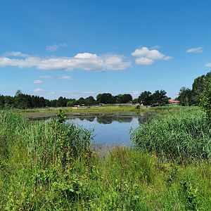The big pond in the park