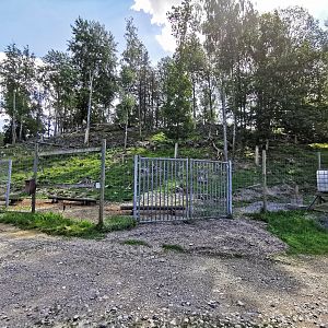 European mouflon enclosure