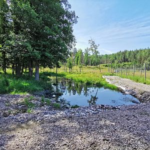 Eurasian elk enclosure
