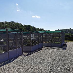 Aviaries for gamefowl