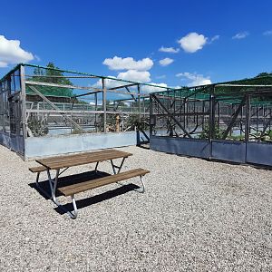 Aviaries for gamefowl