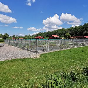 Waterfowl aviaries