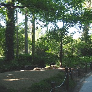 Waldrapp aviary - Former European beaver exhibit, 2021-06-01