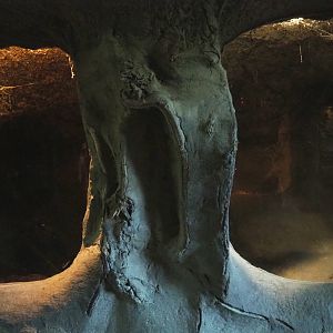 European badger den, 2021-06-01