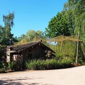 Australian waterfront aviary and bird house, 2021-06-01