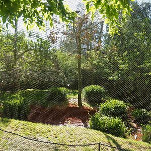 Australian waterfront aviary, with creek bed newly redone with red gravel, 2021-06-01