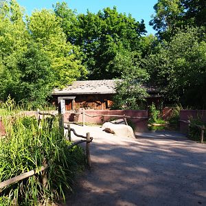 Tasmanian devil viewing areas, 2021-06-01