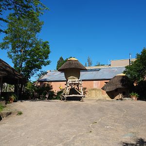 View in the African village with Bonobo building, Banded mongoose exhibit and Bonobo island viewing area, 2021-06-01