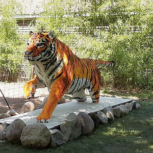 Temporary Siberian Tiger Statue