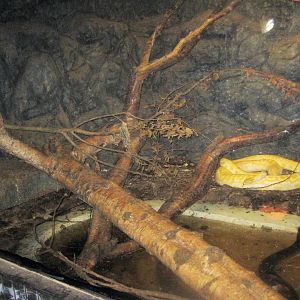 Munkholm Zoo - Stable building - Mixed snake exhibit #2