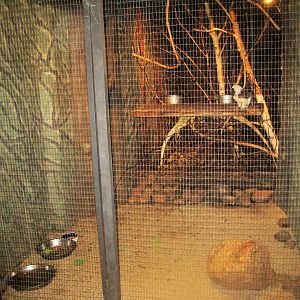 Munkholm Zoo - Stable building - Tamarin/reptile exhibit