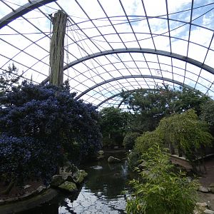 Wings of the World aviary
