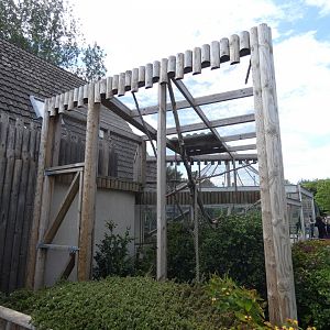 Red titi monkey outdoor enclosure
