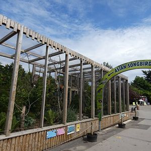 Asian song bird aviary