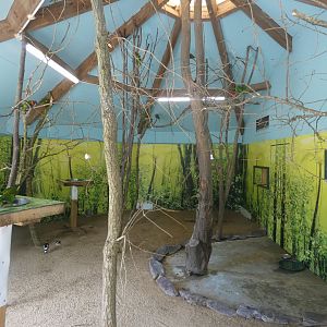 Lorikeet indoor enclosure