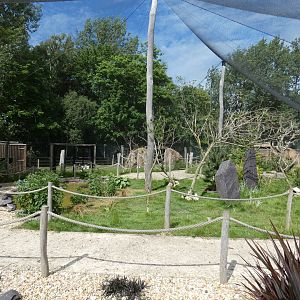 Lorikeet walk-through aviary