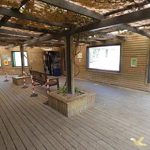 Carnivore house interior