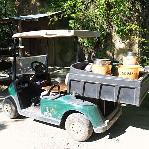 Bird keeper feeding cart, 2021-06-01