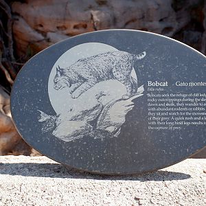 bobcat sign