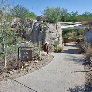 Life On The Rocks exhibit