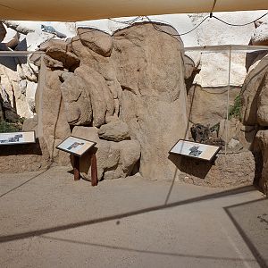 outdoor rattlesnake exhibits