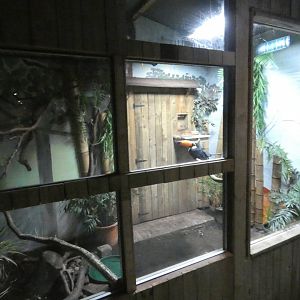Toco toucan enclosure