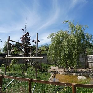 Binturong and Asian short-clawed otter enclosure