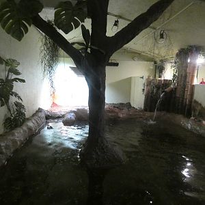 Philippine crocodile enclosure