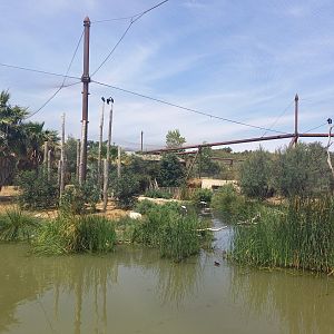 Giant walkthrough aviary for african birds