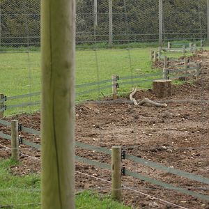 Hogsnorts Electric Fence